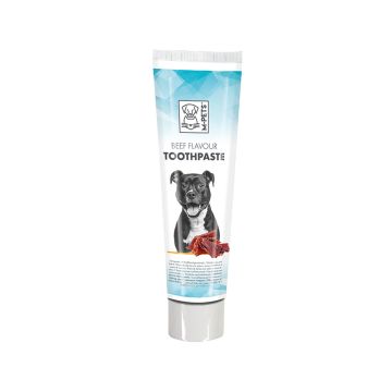 M-Pets Beef Flavor Toothpaste - 100 g