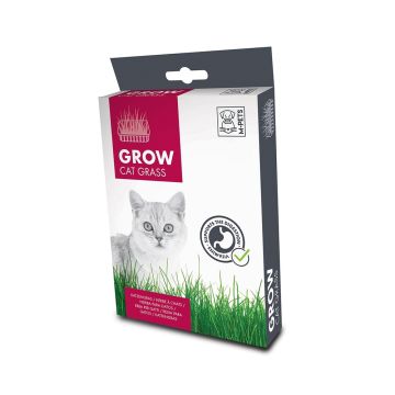 M-Pets Grow Cat Grass