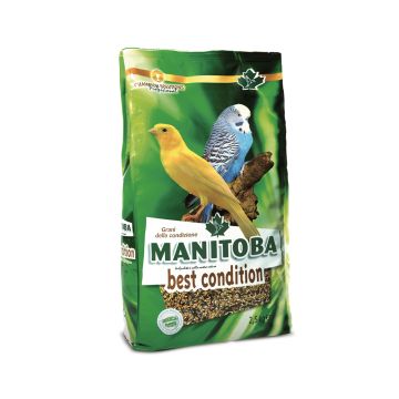 Manitoba Best Condition - 2.5 Kg