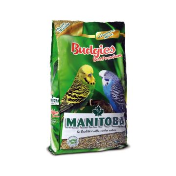 Manitoba Budgies Best Premium Bird Food