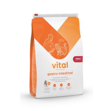 طعام جاف فايتال هيلث كونسبت لصحة الجهاز الهضمي للقطط من ميرا - 750 جرام