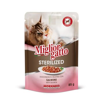 Miglior Gatto Small Chunks in Jelly with Salmon Sterilized Wet Cat Food - 85 g