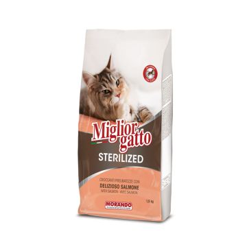 Miglior Gatto Kibble with Salmon Sterilized Adult Dry Cat Food - 1.5 kg