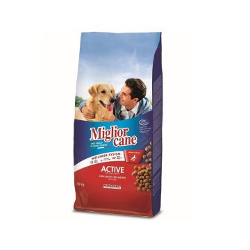 Miglior Cane Active Croquettes with Beef Dry Dog Food - 10 kg