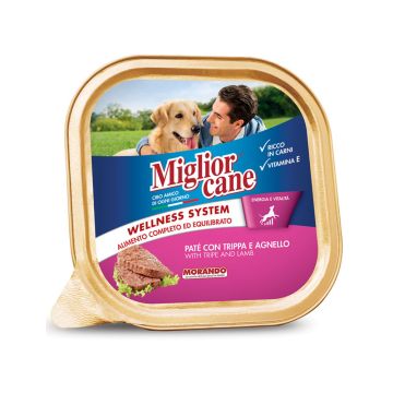 Miglior Cane Pate with Tripe and Lamb Wet Dog Food - 300 g