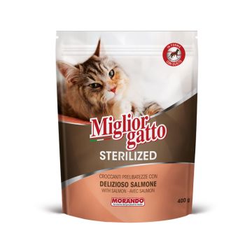Miglior Cat Sterilized Croquettes Salmon Dry Cat Food - 400 g