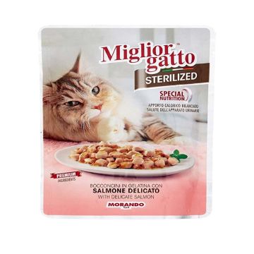Miglior Chunks in Jelly with Tender Salmon - 85g - Pack of 12