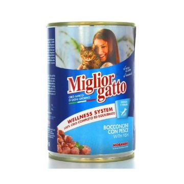 Miglior Chunks with Fish Wet Cat Food - 405g Pack of 12
