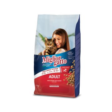 Miglior Gatto Adult Kibble with Beef Dry Cat Food