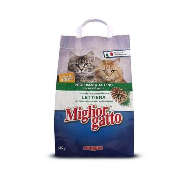 Miglior Scented Pine Perfumed Cat Litter - 5 Kg