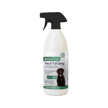 Miracle Care Natural Flea And Tick Spray For Dogs, 16.9 oz