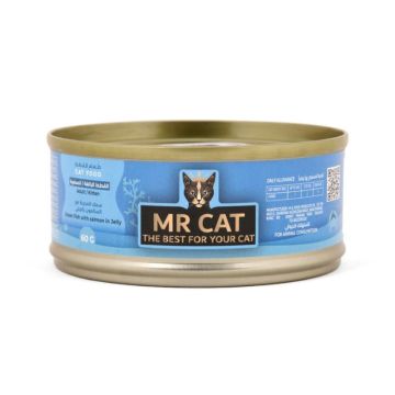 Mr. Cat Ocean Fish with Salmon In Jelly Cat Wet Food - 60 g
