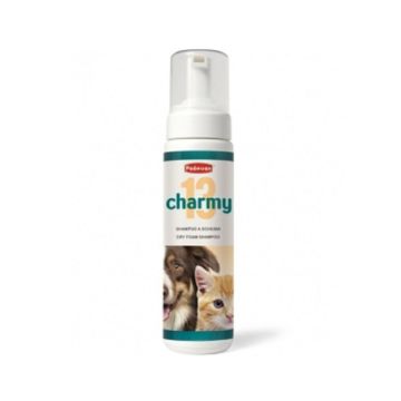 Padovan Dry Foam Shampoo Charmy13 - 200ml