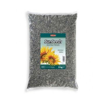 Padovan Sunflower Seeds Medium