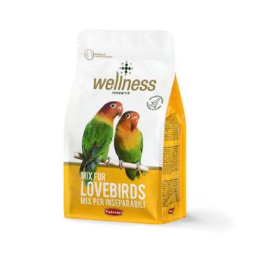 Padovan Wellness Complete Mix Lovebirds Feed - 850 g