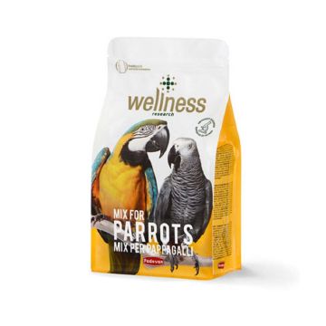 Padovan Wellness Parrots Mix Complete Bird Feed - 750g