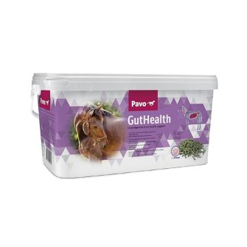 Pavo GutHealth for Horse 