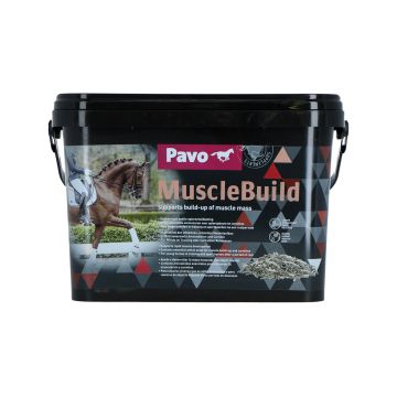 pavo-musclebuild-3-kg