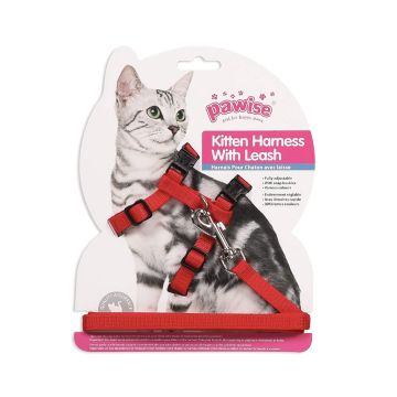 Pawise Kitten Harness with Leash Asst Colors