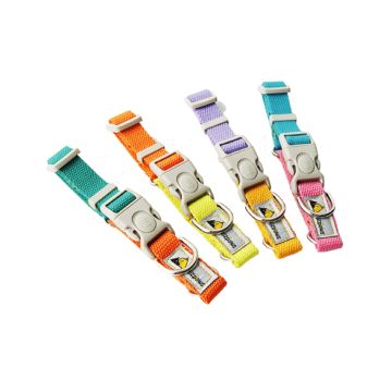 Paws & Furrs Dog Collars, Assorted Colors