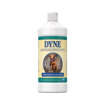 PetAg Dyne High Calorie Liquid Nutritional Supplement for Dogs & Puppies