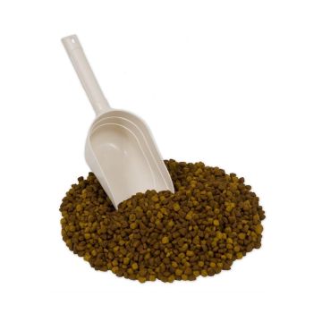 petmate-food-scoop-w-microban-2-cup