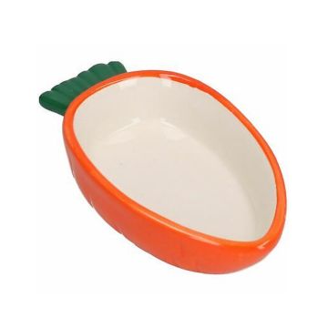 Pet Platter Carrot Small Animal Bowl