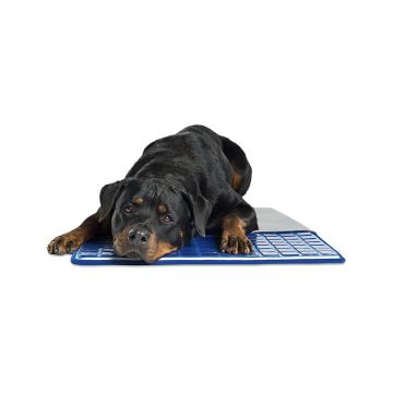 Pet Therapeutics TheraCool Gel Cell Cooling Pad - Large