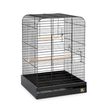 prevue-parrot-cage-black