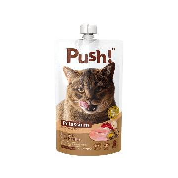 Push Heart and Gut Health Chicken with Potassium Cat Food Pouch - 110 g