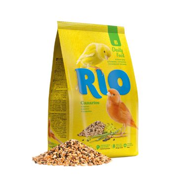 Rio Daily Feed For Canaries