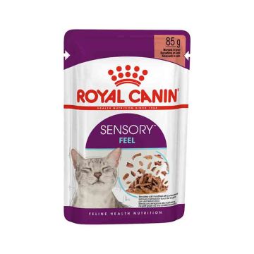 Royal Canin Sensory Feel Morsels in Gravy Wet Cat Food - 85 g