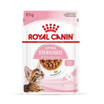 Royal Canin Feline Health Nutrition Kitten Sterilised Gravy Pouches - 85g - Pack of 12