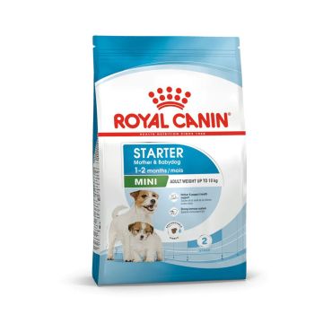 royal-canin-size-health-nutrition-mini-starter-dry-dog-food-1-kg