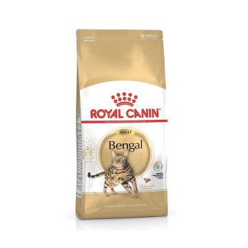 Royal Canin Bengal Dry Cat Food - 2 Kg