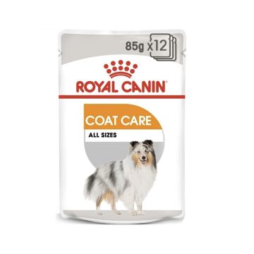 Royal Canin Canine Care Nutrition Coat Beauty Pouch - 85 g - Pack of 12