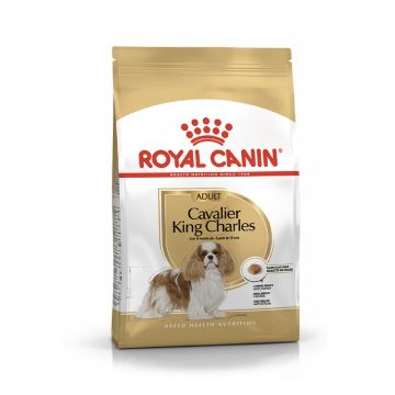 Royal Canin Cavalier King Charles Adult Dry Dog Food - 1.5 Kg