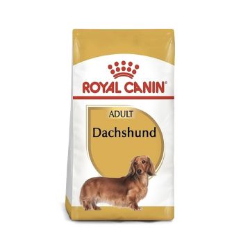 Royal Canin Dachshund Adult Dog Food - 1.5 Kg