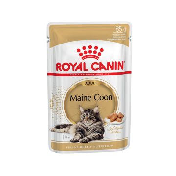Royal Canin Feline Breed Nutrition Maine Coon Cat Food Pouches - 85g - Pack of 12