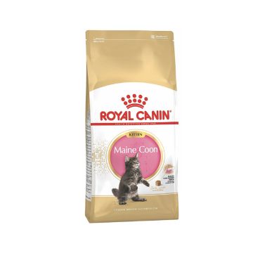 Royal Canin Feline Breed Nutrition Maine Coon Kitten - 2 Kg