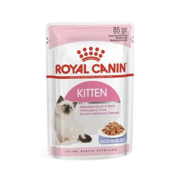 Royal Canin Feline Health Nutrition Kitten Jelly Pouch - 85 g - Pack of 12