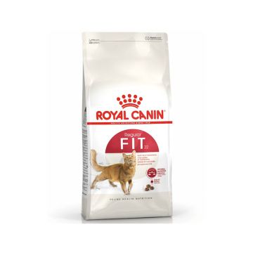Royal Canin Fit 32 Cat Dry Food