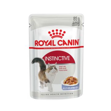 royal-canin-jelly-instinctive-for-adult-cats-pouches-85gm-x-12-pcs