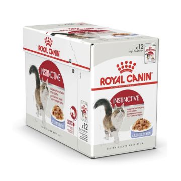 royal-canin-jelly-instinctive-for-adult-cats-pouches-85gm-x-12-pcs