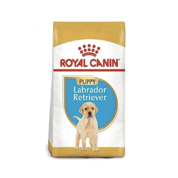Royal Canin Labrador Retriever Puppy Dog Food - 12 Kg