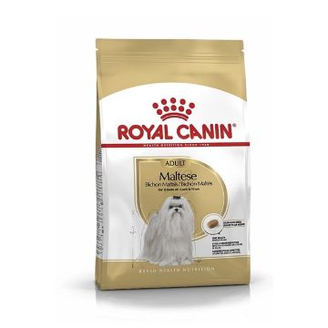 royal-canin-bhn-maltese-adult-dog-dry-food-1-5-kg
