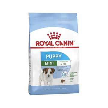 royal-canin-shn-mini-junior-dog-dry-food-2-kg
