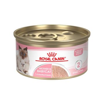 Royal Canin Mother and Babycat Mousse in Sauce Canned Cat Food - 195 g