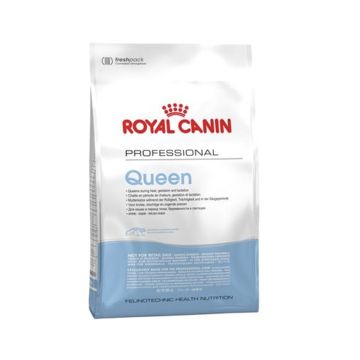 Royal Canin Professional Queen Dry Cat Food, 4 Kg
