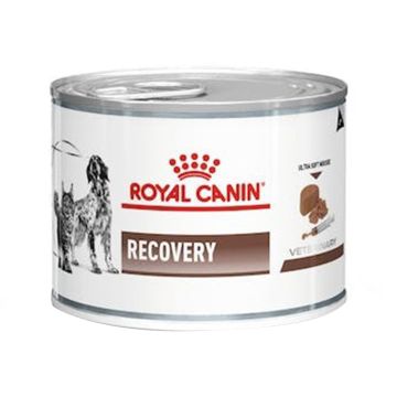 Royal Canin Recovery Canned Food for Dogs and Cats - 195 g